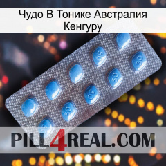 Чудо В Тонике Австралия Кенгуру viagra3